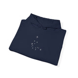 Embroidered Aquarius sign and Star Constellation Hoodie